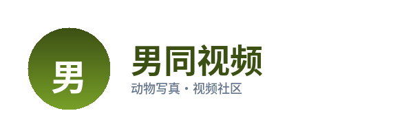 男同视频